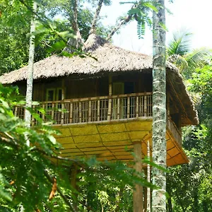 Kalidasa Tree House And Chegat